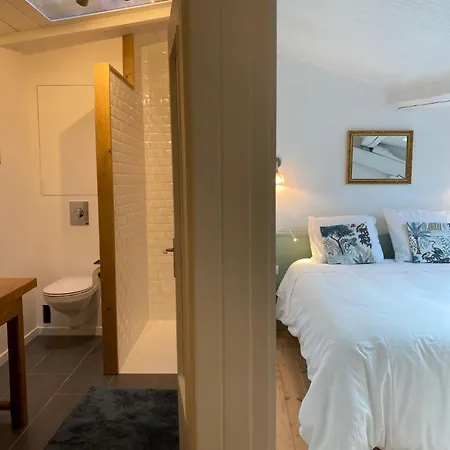 Apartment Le Petit Bourgeois - Duplex En Vieille Nancy