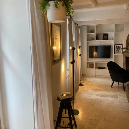 Le Petit Bourgeois - Duplex En Vieille Apartment *
